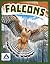 Falcons