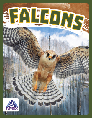 Falcons (Birds of Prey)
