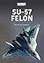 Su-57 Felon (Modern Military Aircraft Series)