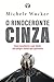 O Rinoceronte Cinza (Portuguese Edition)