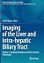 Imaging of the Liver and Intra-hepatic Biliary Tract: Volume 1: Imaging Techniques and Non-tumoral Pathologies (Diagnostic Imaging)