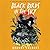 Black Birds in the Sky by Brandy Colbert
