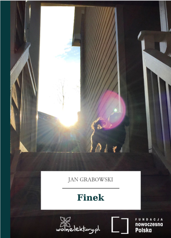 Finek