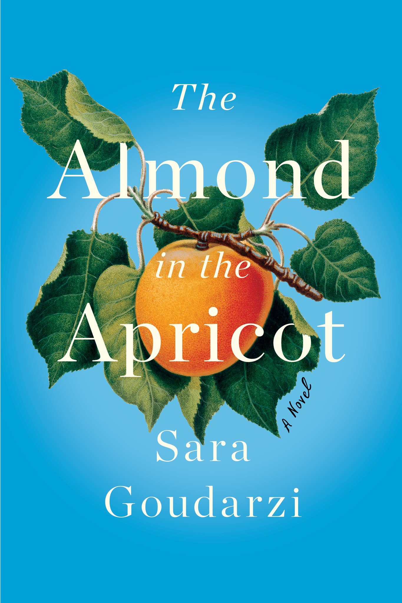The Almond in the Apricot (Hardcover)