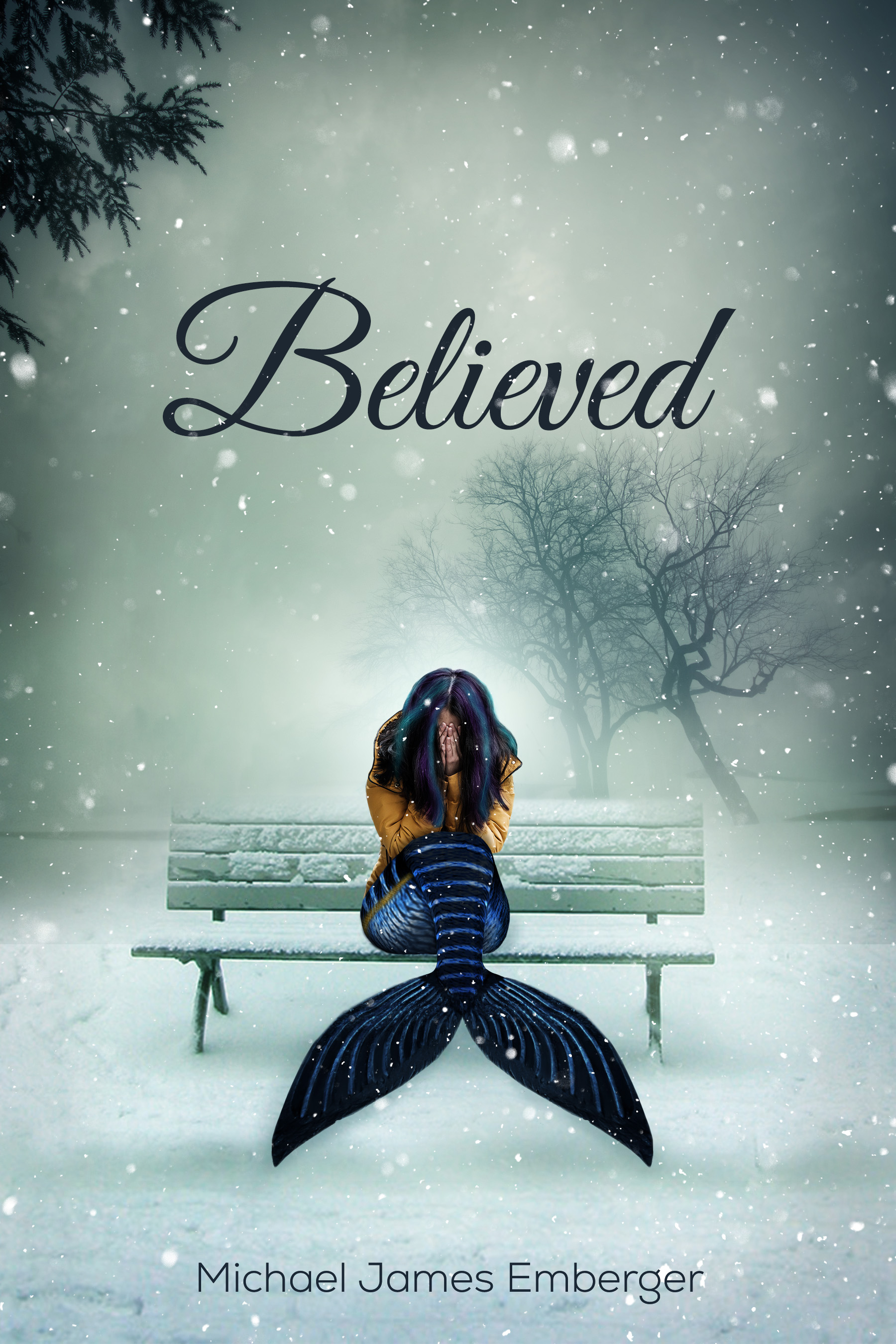 Believed (Paperback)