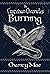 The Custodian Chronicles: Burning