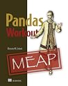 Pandas Workout