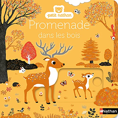 Promenade dans les bois (Hardcover)