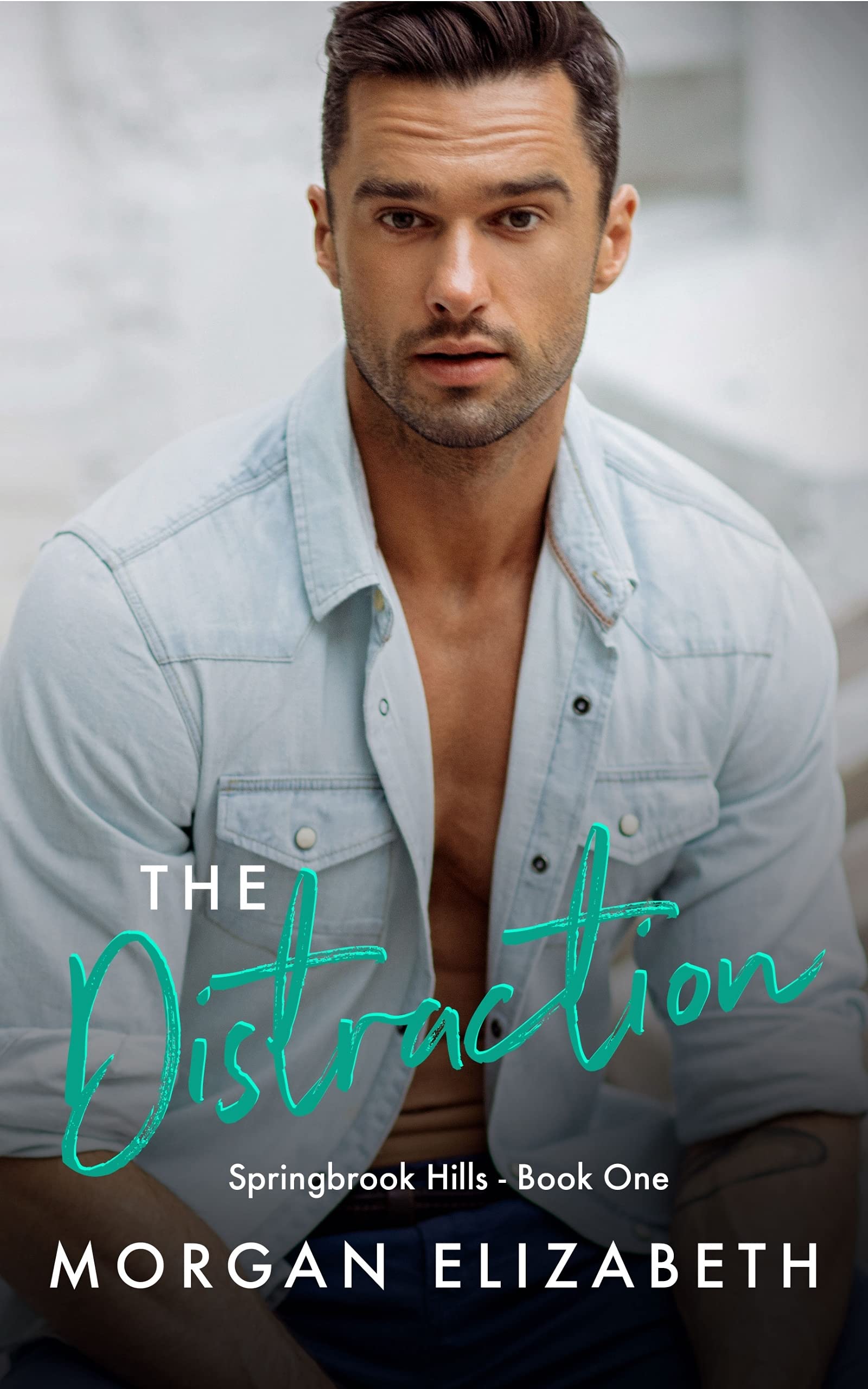 The Distraction (Springbrook Hills, #1)