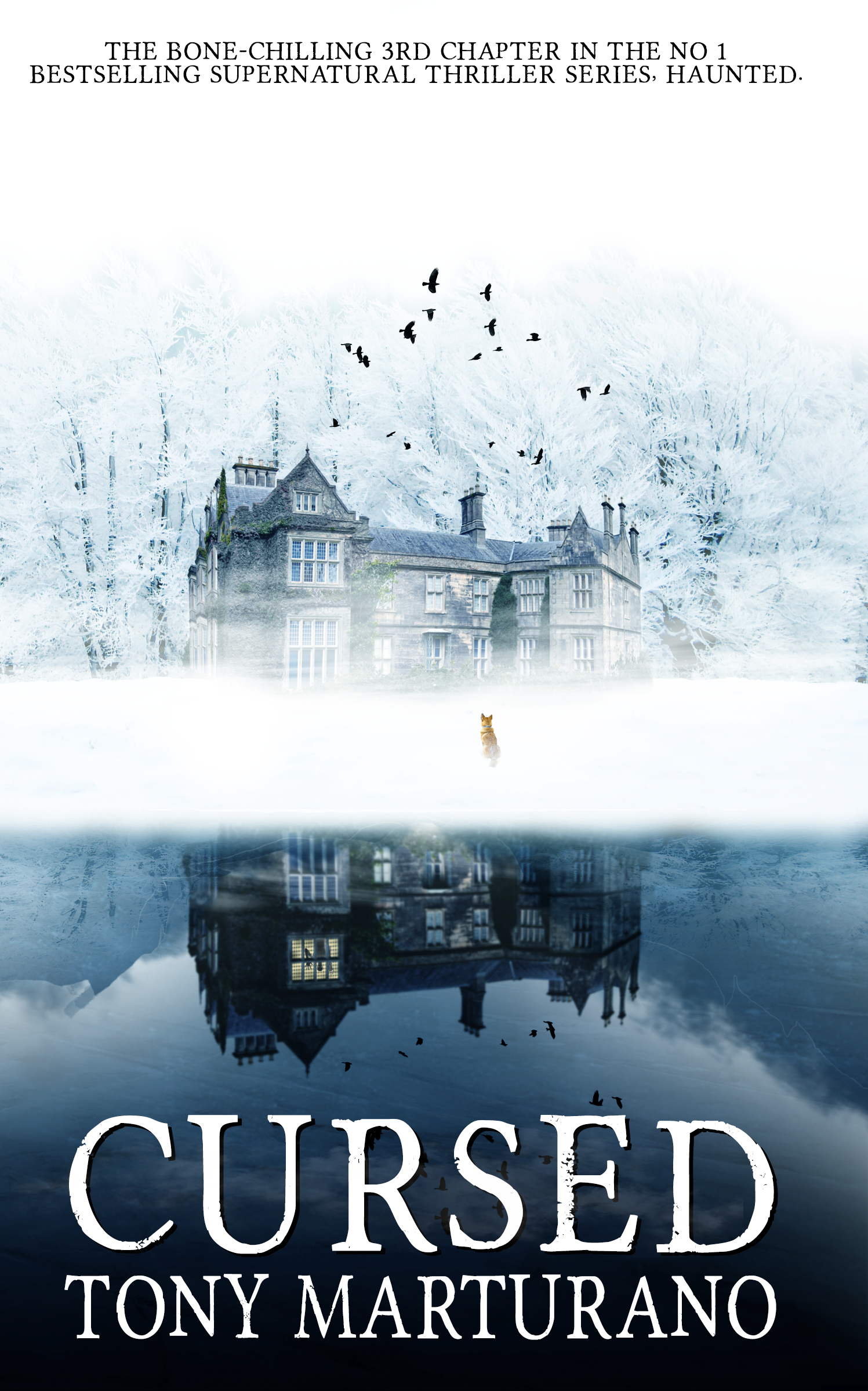Cursed (Haunted, #3)