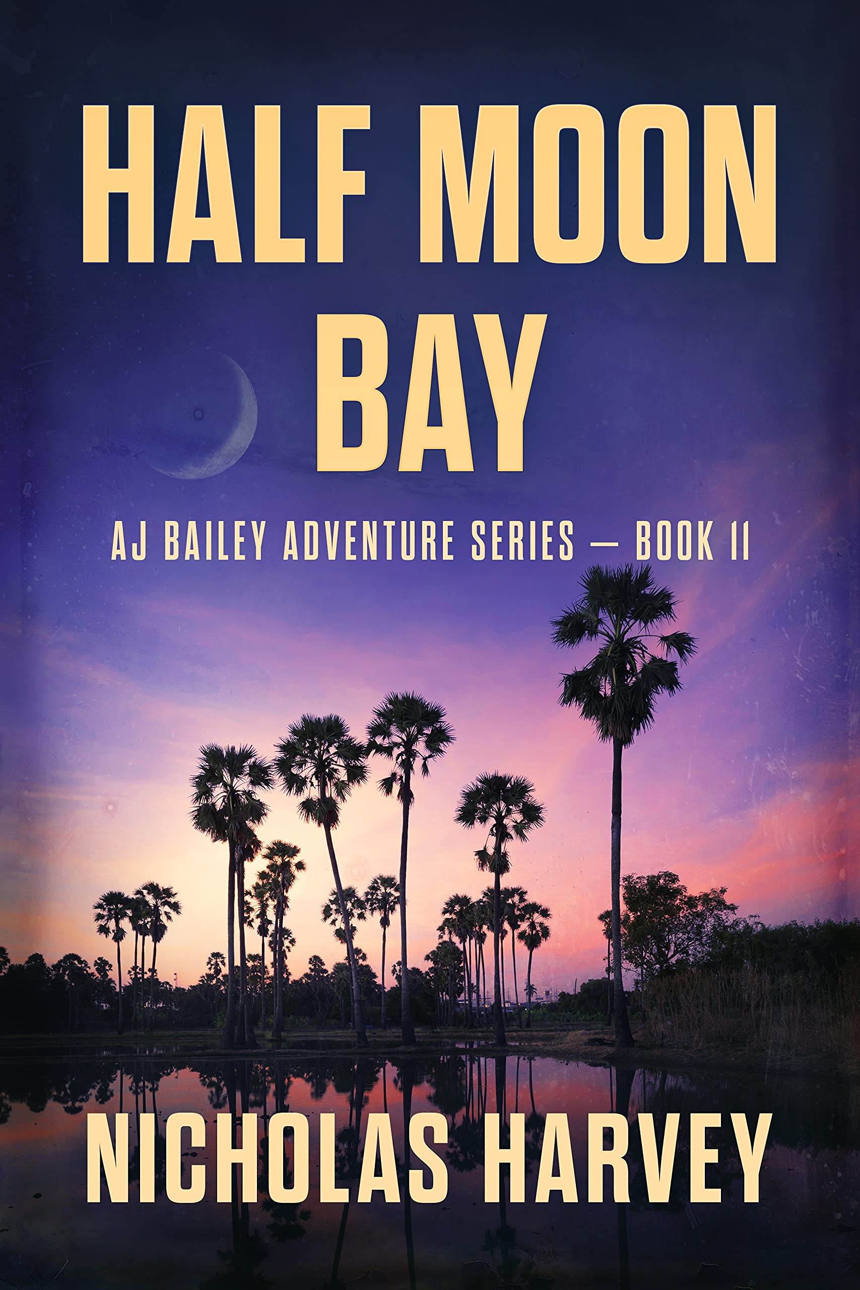 Half Moon Bay (A.J. Bailey Adventure #11)