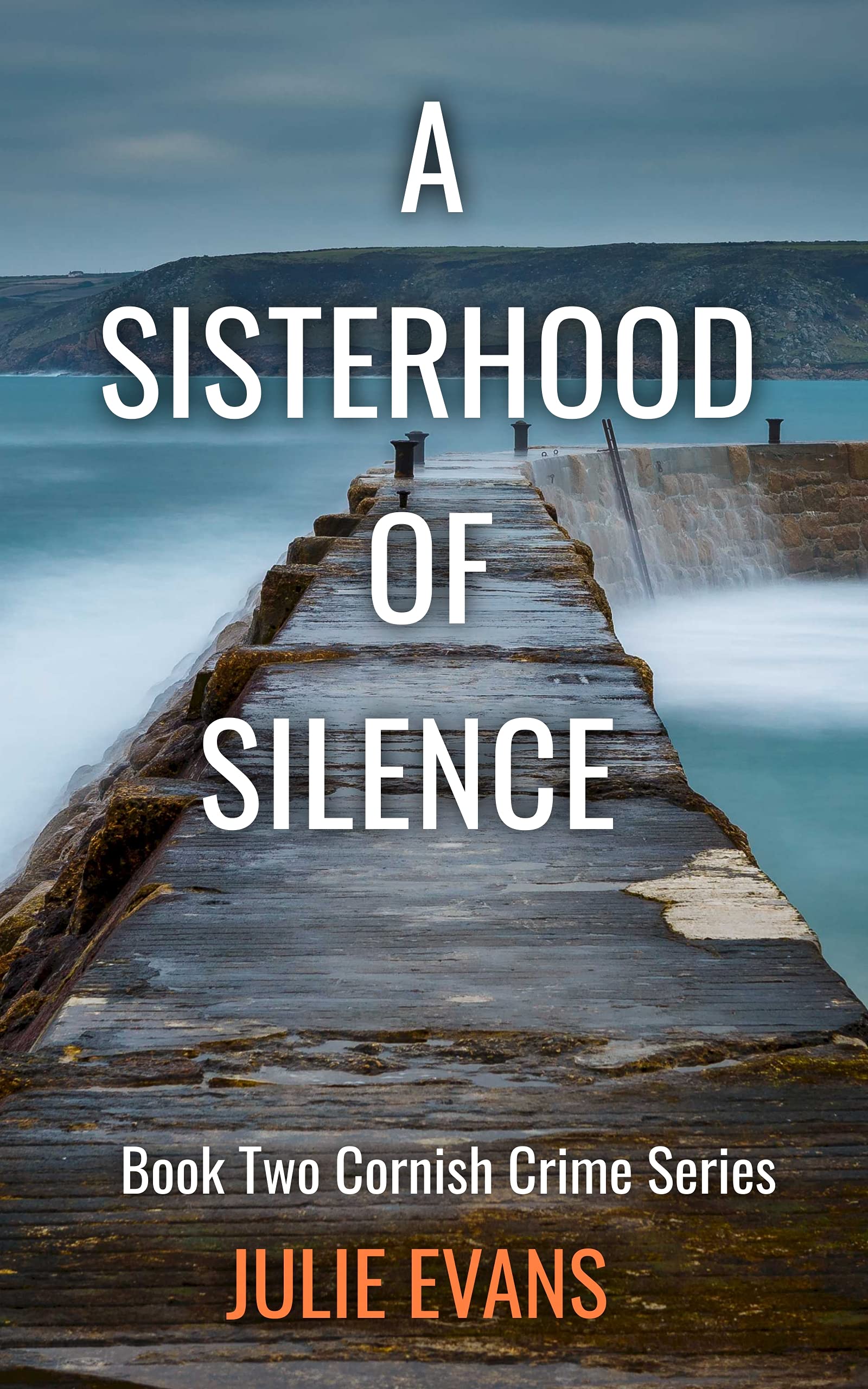 A Sisterhood of Silence (Cornish Crime Series, #2)