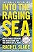 Into the Raging Sea: Thirty-Three Mariners, One Megastorm, and the Sinking of El Faro