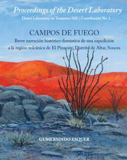 Campos de fuego: Breve narración historico-fantástica de una expedición a la región volcánica de El Pinacate, Distrito de Altar, Sonora (Paperback)