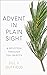 Advent in Plain Sight: A Devotion through Ten Objects