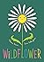 Wildflower