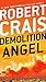 Demolition Angel