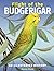 Flight of the Budgerigar: A...