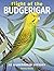Flight of the Budgerigar: An Illustrated History