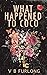 What Happened to Coco by V.B. Furlong