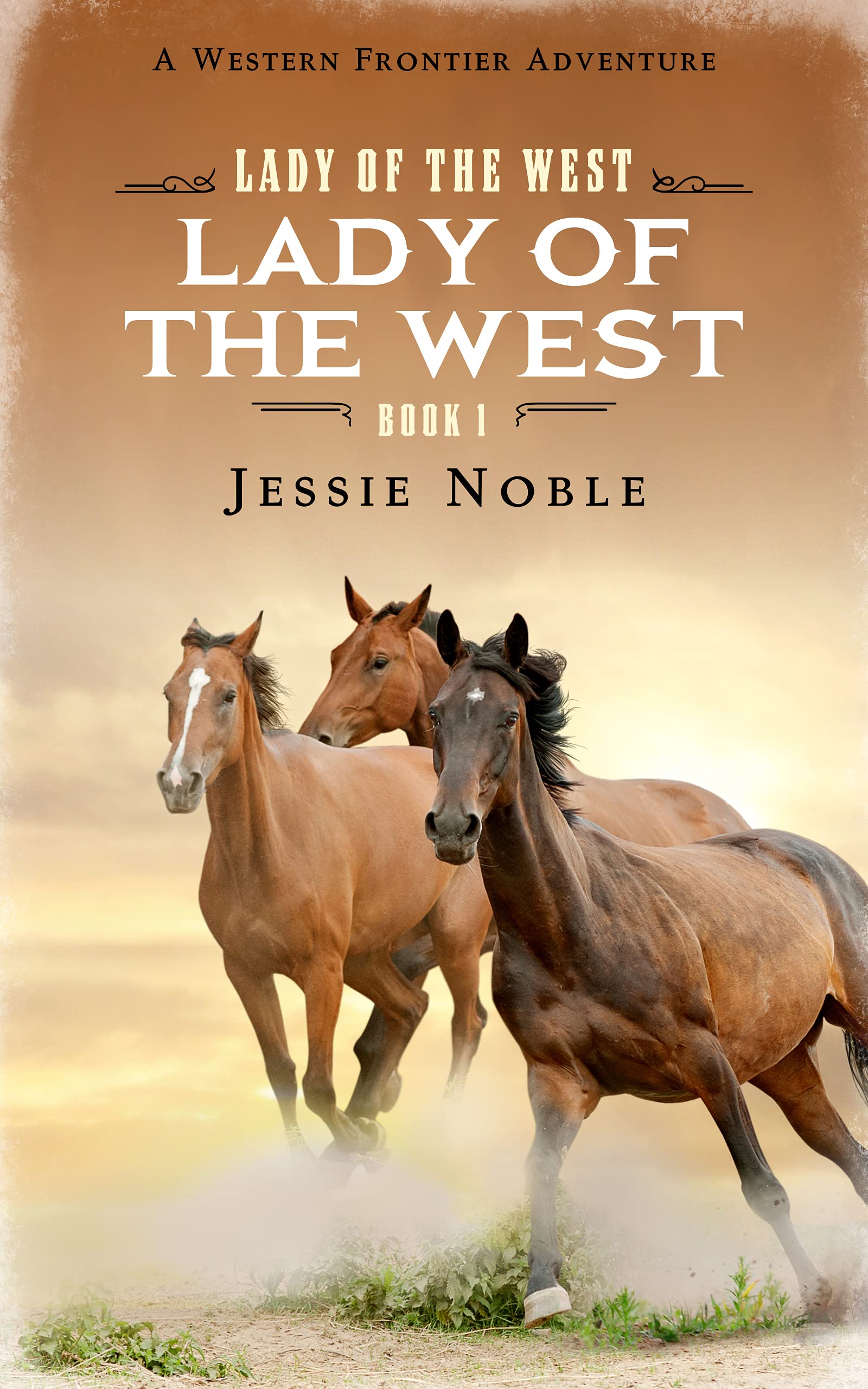 Lady of the West (Kindle Edition)