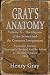 GRAY'S ANATOMY - Volume X O...