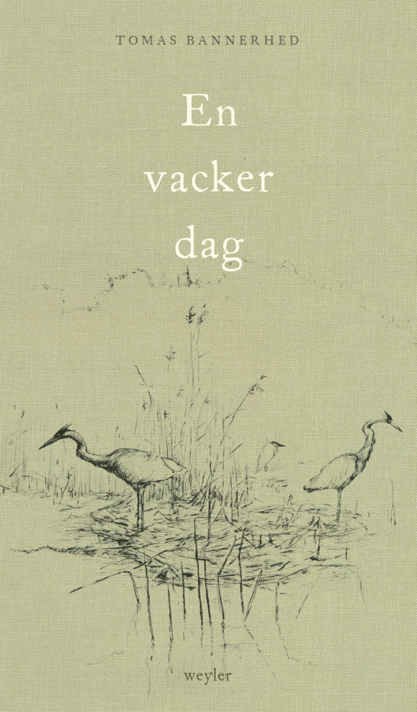 En vacker dag (Hardcover)