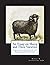 An Essay on Sheep and Their...