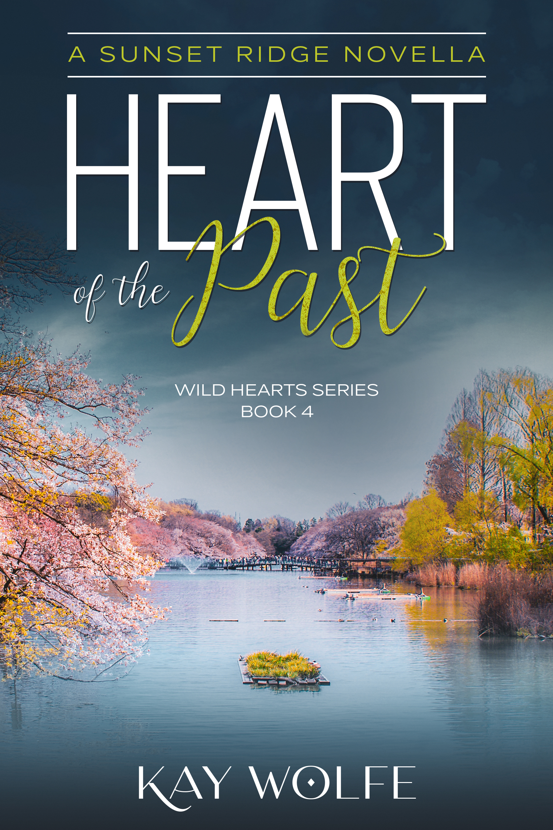 Heart of the Past  (Wild Hearts Series Book 4)