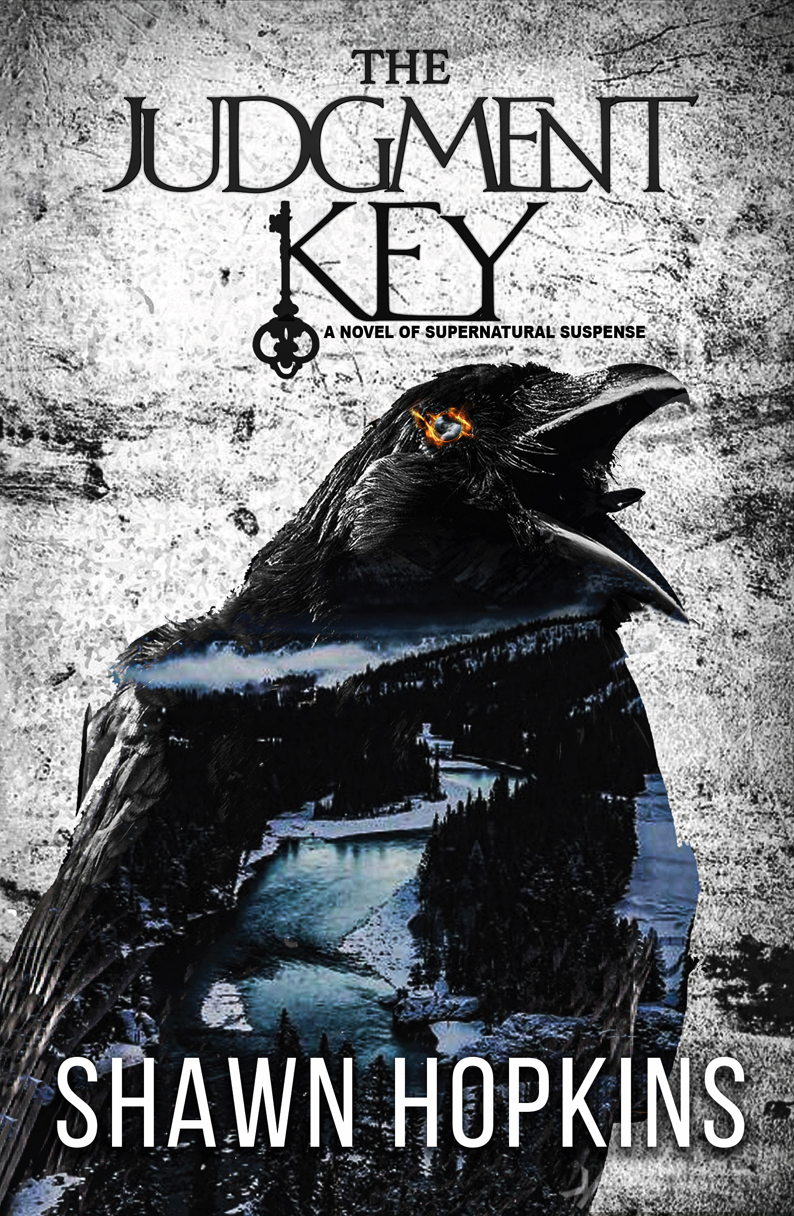 The Judgment Key  (The Solomon Key, #0)