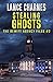 Stealing Ghosts