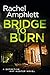 Bridge to Burn (Detective K...