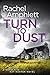 Turn to Dust (Detective Kay Hunter, #9)