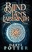 Blind Man's Labyrinth