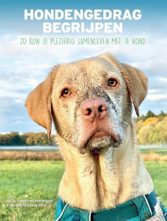 Hondengedrag begrijpen (Hardcover)