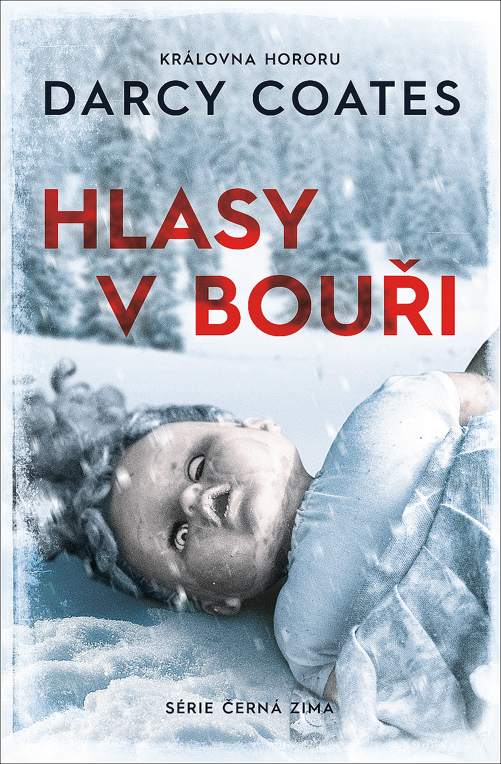 Hlasy v bouři (Černá zima, #1)