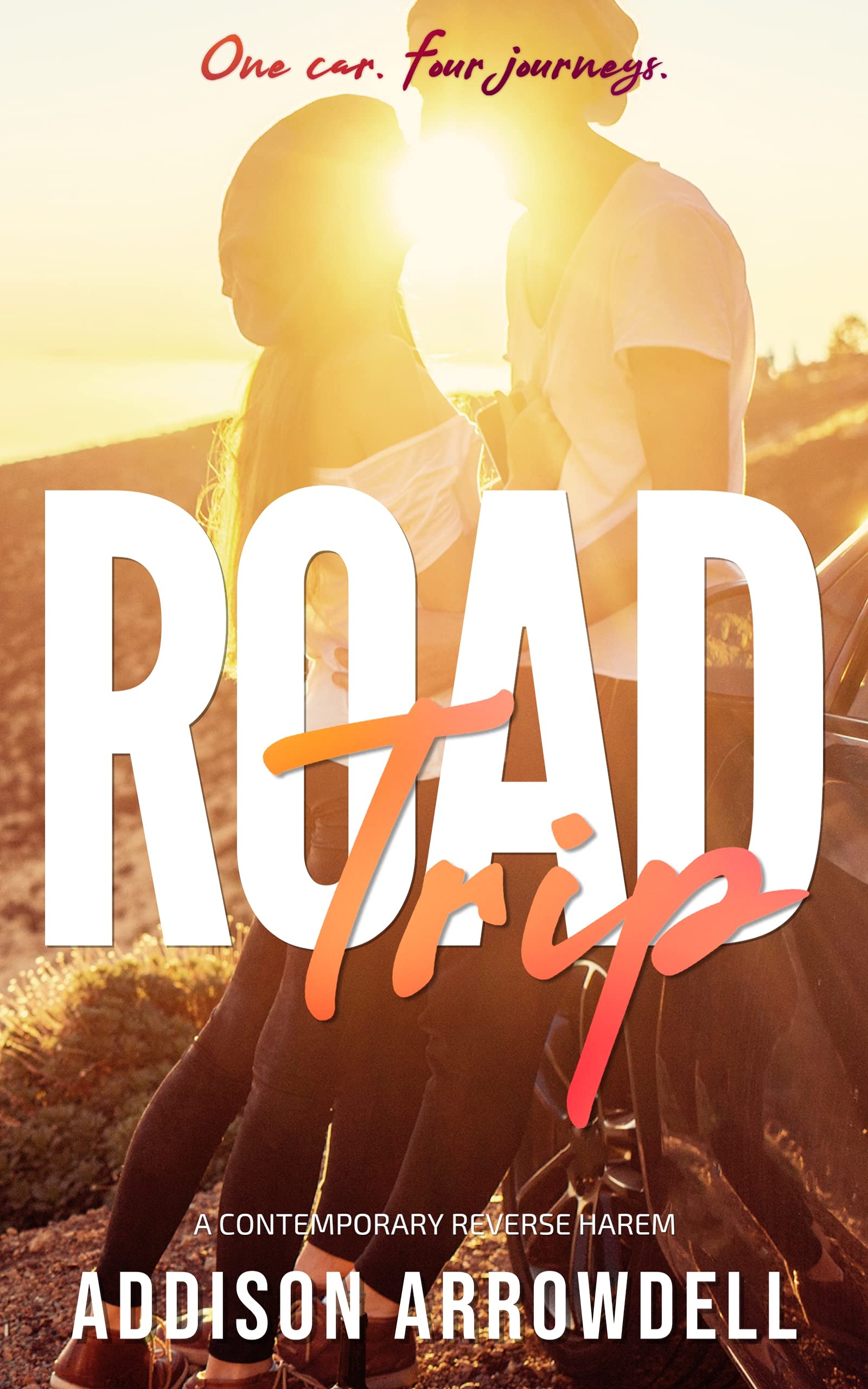 Road Trip (Kindle Edition)