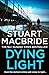 Dying Light (Logan McRae, #2)