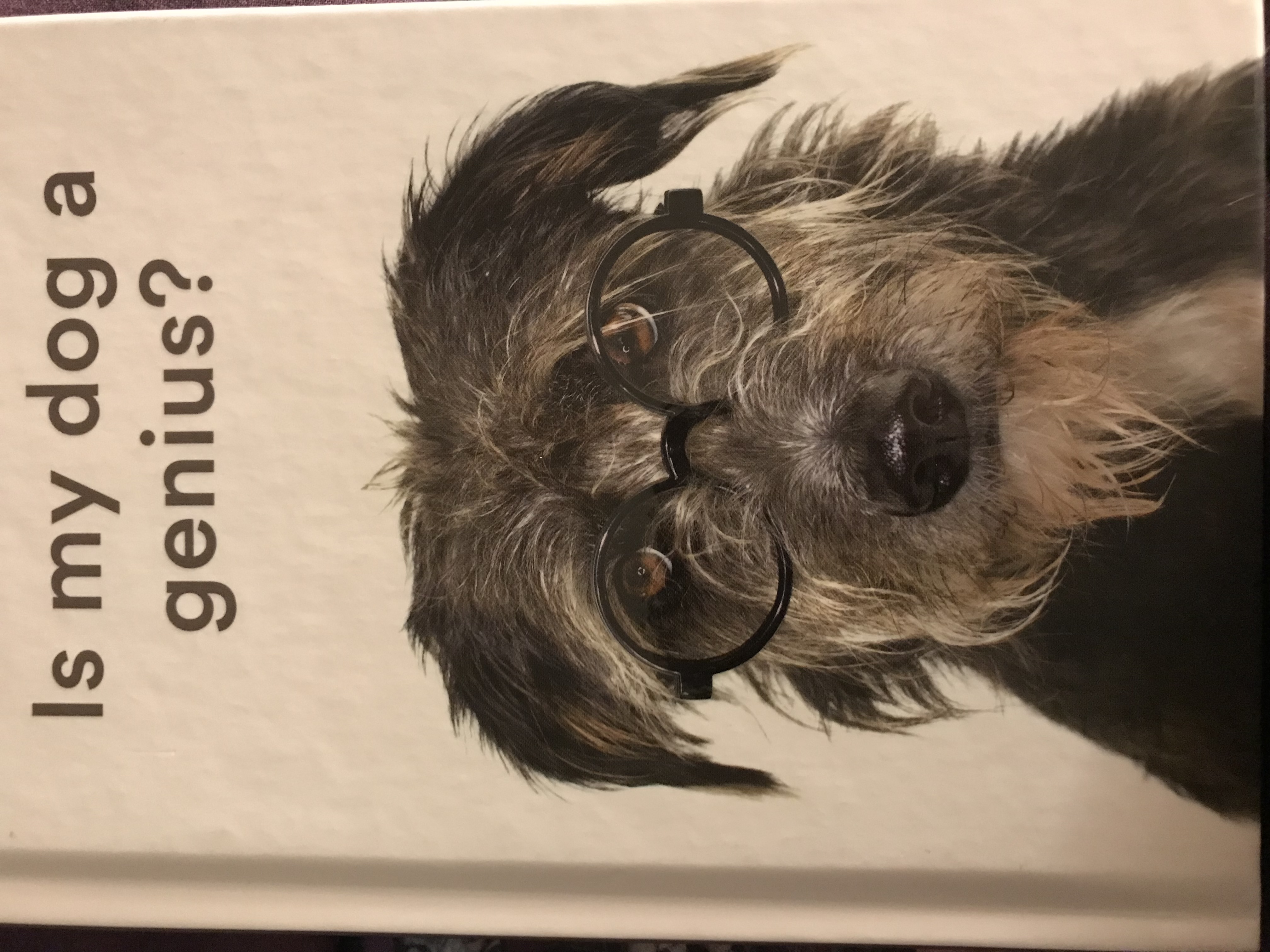 Is my dog a genius? (Hardcover)