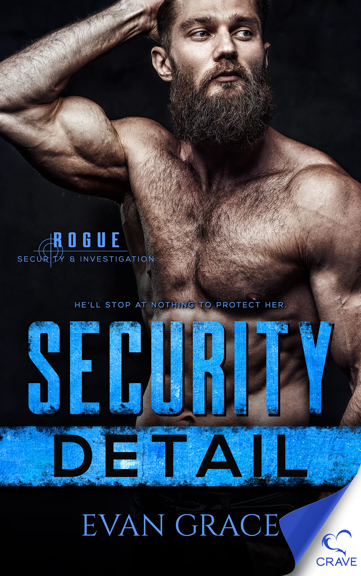 Security Detail (Rogue Security and Investigation, #4)