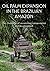 Oil Palm Expansion in the Brazilian Amazon
