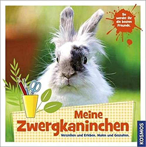 Mein Zwergkaninchen - Verstehen und Erleben. Malen und Gestalten (Hardcover)