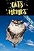 2021 Funny Cat Mehmés: Funn...