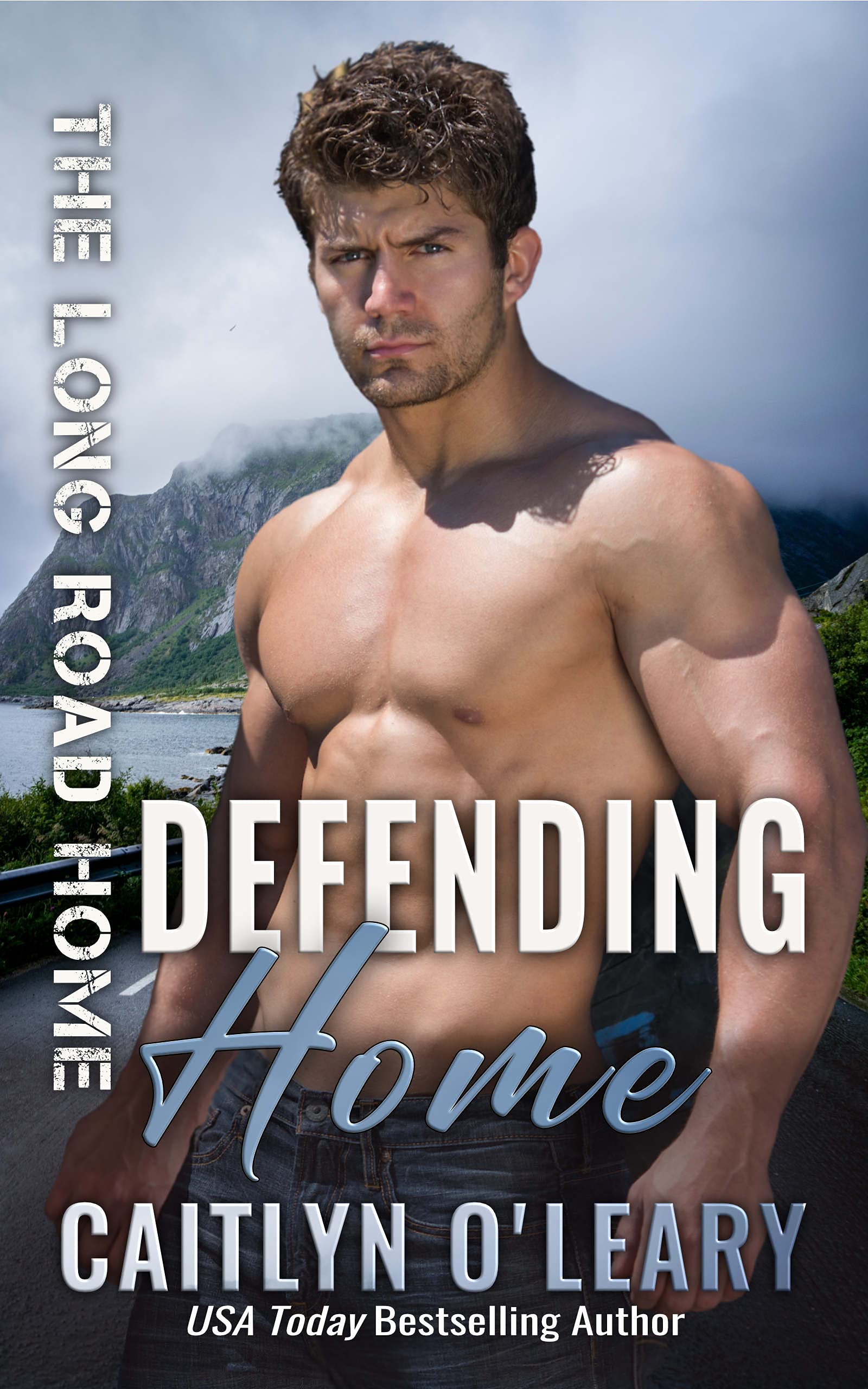 Defending Home (The Long Road Home #10)