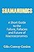 Shamanomics: A Short Guide to the Failure, Fallacies and Future of Macroeconomics