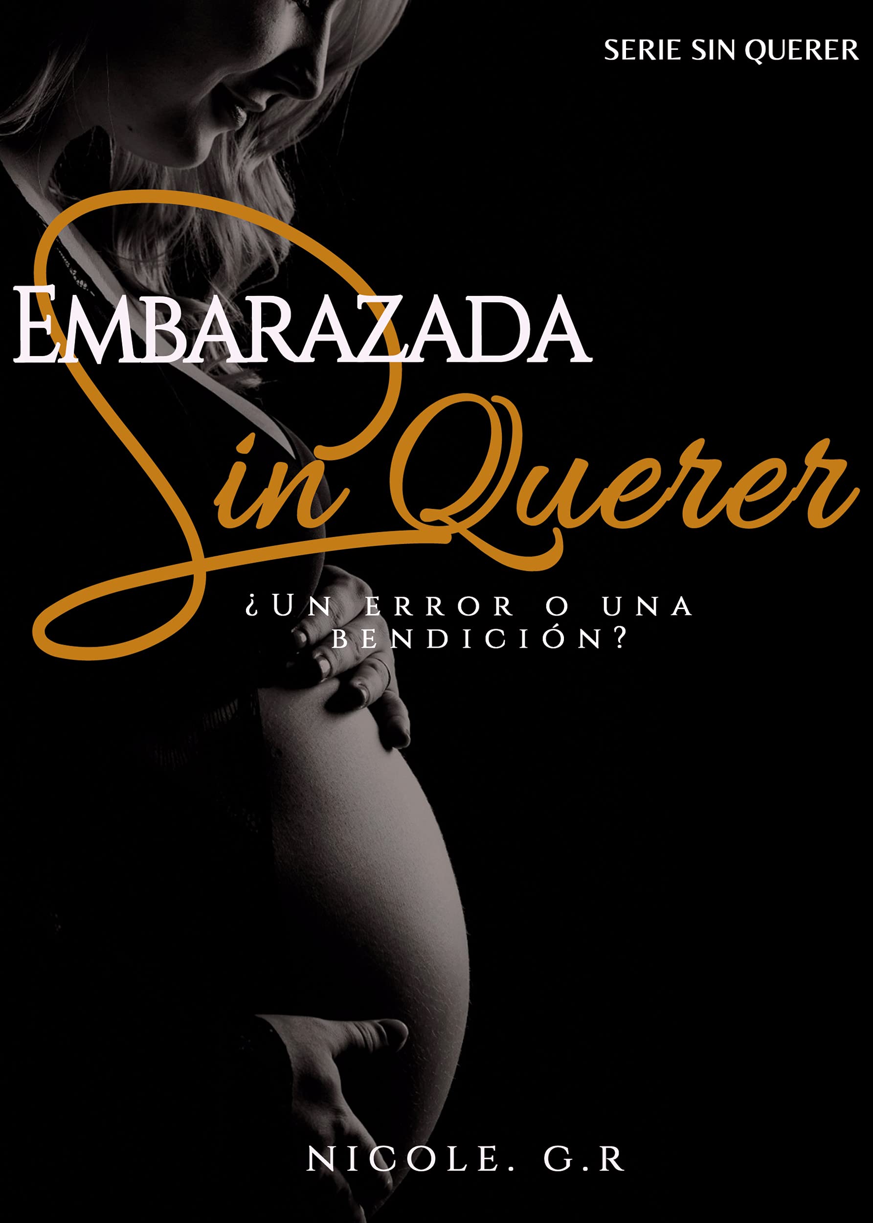 Embarazada sin querer (Sin querer #1)