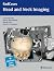 RadCases Head and Neck Imaging