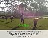 Biaya Rumput Lapangan Bola, WA +62 857 3259 0133, ANDIKA GARDEN