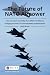 The Future of NATO Airpower...