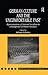 German Culture and the Uncomfortable Past: Representations of National Socialism in Contemporary Germanic Literature (Warwick Studies in the Humanities)